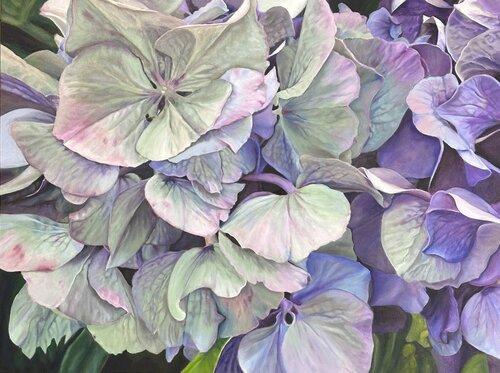 Painting of hydrangea flowers