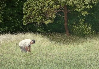 artwork depicting a man picking oregano in Greece