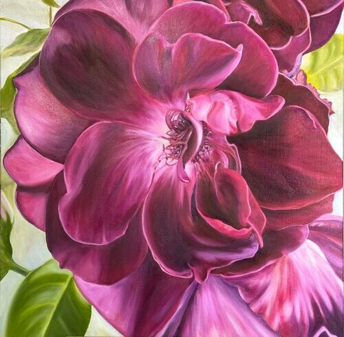 realistic oil painting of a magenta rose