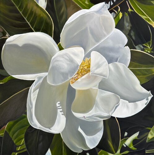 painting of a magnolia