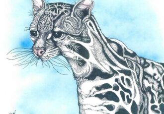 airbrush drawing of an ocelot