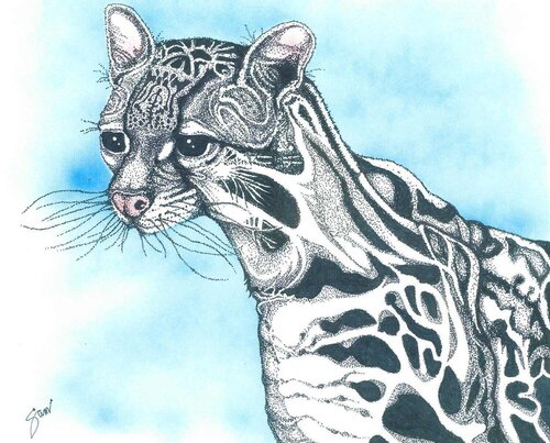 airbrush drawing of an ocelot