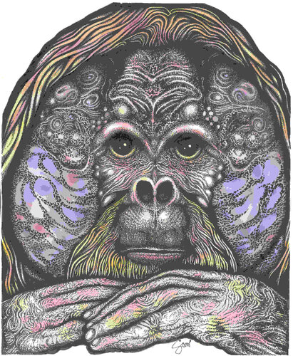 airbrush drawing of an orangutan