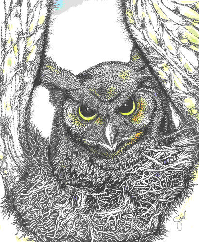 airbrush drawing of an owl in a saguaro cactus