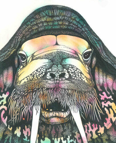 whimsical walrus drawing