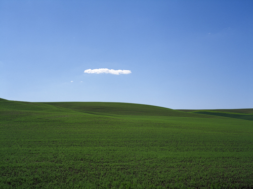 landscape photograph of a large field and cloud in a blue sky