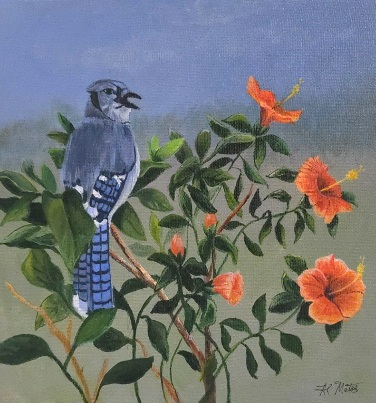 painting of a bluejay on a hibiscus bush