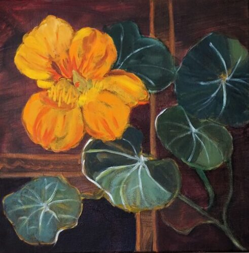 oil painting of a nasturtium flower