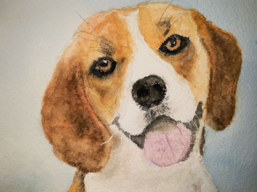 a watercolor painting of a cute beagle