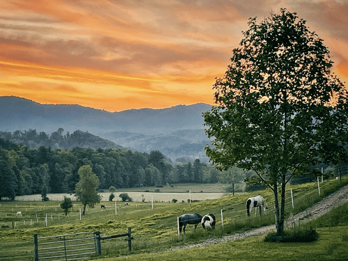 fine art photo of a farm scene and mountains